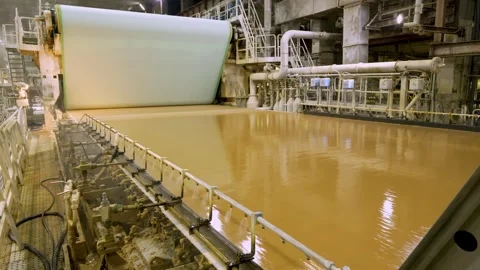 Cardboard making machine. Softwood pulp is fed into the cardboard making machine Stock Footage 326162948