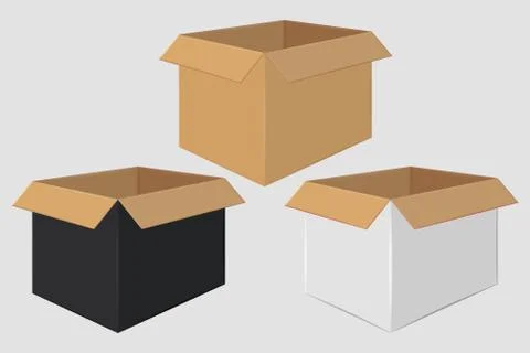 Cardboard Open Box. Side View. Package Design Stock Illustration