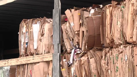 The cardboard packaging is compressed and prepared for recycling Stock Footage 104643794