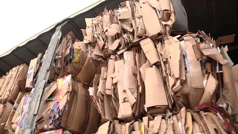 The cardboard packaging is compressed and prepared for recycling Stock Footage 104644822