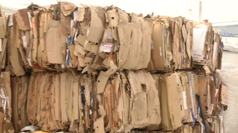 The cardboard packaging is compressed and prepared for recycling Stock Footage 104646825