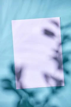 Cardboard with a pattern of shadows on a blue background with a copy space. Flat Foto stock