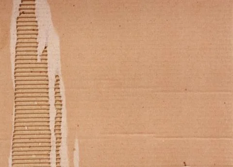 Cardboard Foto stock