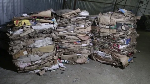 Cardboard pressed into rows for further processing recycling Stock Footage 82054403