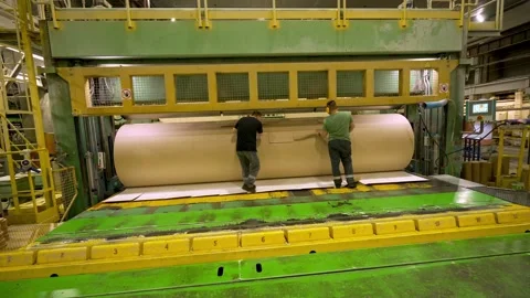 Cardboard production machine. Workers accept the sliced cardboard Video stock 326308106
