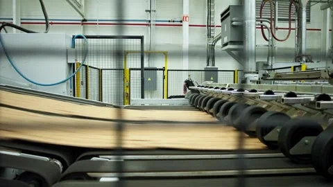 Cardboard Sheets Moving Along Automated Conveyor Inside Packaging Factory Stock Footage 337438309