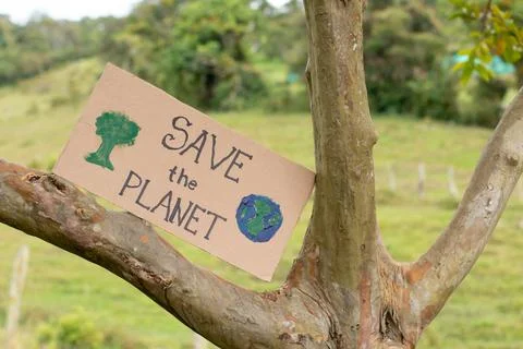 Cardboard sign on a tree calling to save the planet. Take care of the Stock Photos