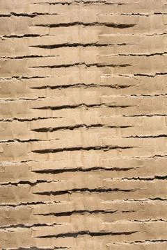 Cardboard surface with parallel cuts Stockfoto's