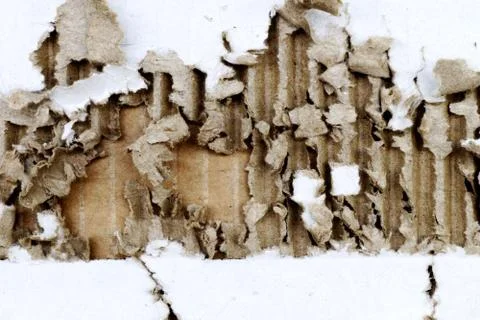 Cardboard Texture Background, space for your text or design Foto stock