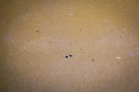 Cardboard Texture Stock Photos