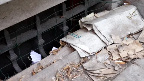 Cardboard Trashes, Wind from Vent Hole, Street in Brussels, Belgium Stock Footage 242955910