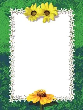 Card,flowers and frames Fotos Stock