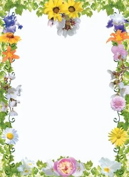 Card,flowers and frames Stock Photos