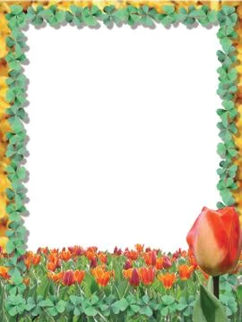 Card,flowers and frames Stock Photos