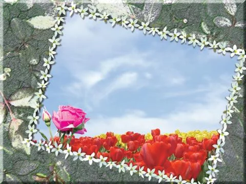 Card,flowers and frames Stock Photos
