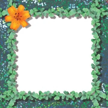 Card,flowers and frames 库存照片