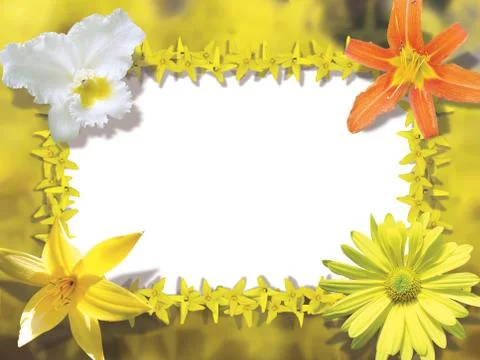 Card,flowers and frames Stock Photos