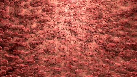 Cardiac Cells in motion Stock Footage 93049210