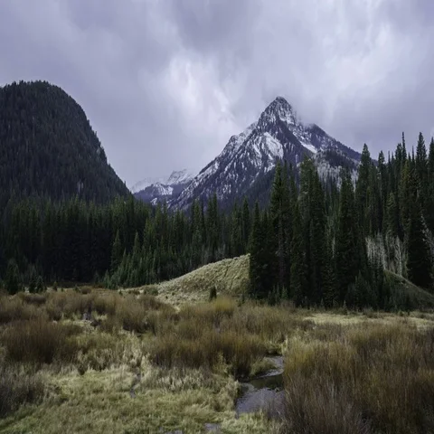 Cardiff Fork Video stock 69282409