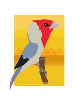 Cardinal Bird Stock Illustration