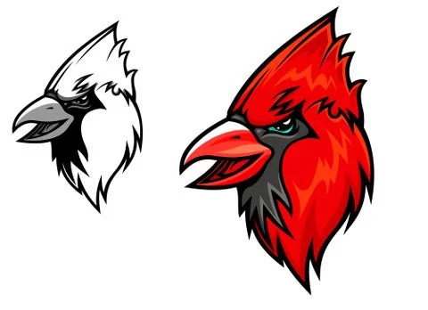 Cardinal birds Stock Illustration