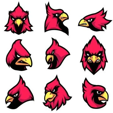 Cardinal head Mascot Vector Logo Bundle Stock Illustration