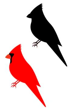 Cardinal Stock Illustration