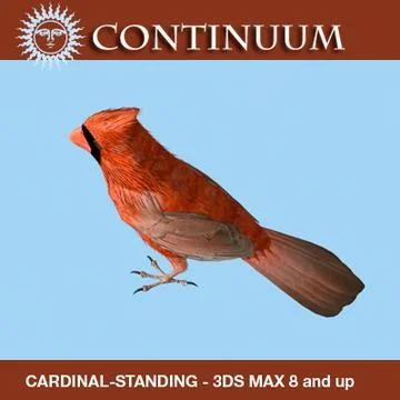 Cardinal - Male - Standing Wings Folded ~ 3D Модель # 91437060