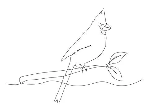 Cardinal one continuous line illustration. Hand drawn doodle sketch of bird o Stock Illustration