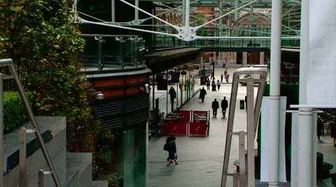 Cardinal place3 Video stock 884464