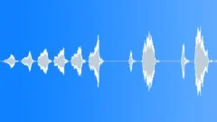 Cardinal Sound Effect
