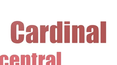 Cardinal Wordcloud Animated On White Background Stock Footage 103660040