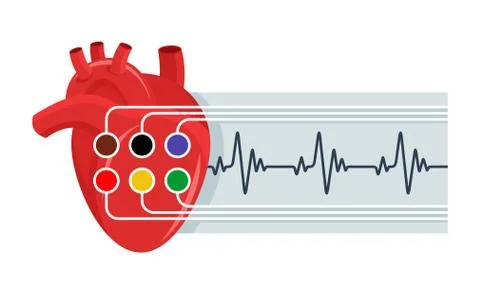 Cardiogram Stock Illustration
