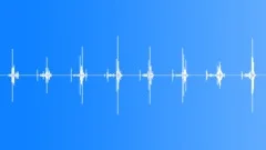 CARD,PLAYINGSound Effect