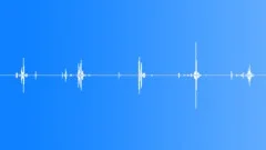 CARD,PLAYING Sound Effect