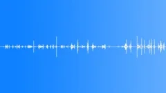 CARD,PLAYING Sound Effect