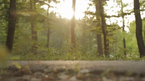 Care for the elderly Stock Footage 119596533