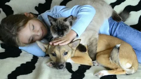 Care Stock Footage 12416956