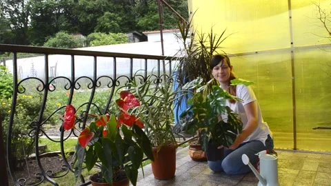 Care of house plants Stock Footage 156499122