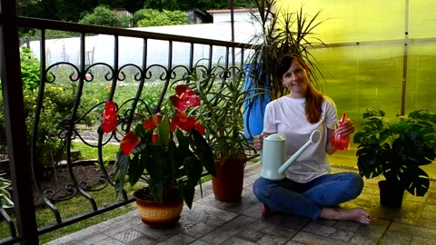 Care of house plants Stock Footage 156502951