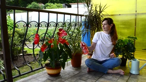 Care of house plants Stock Footage 156503264