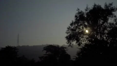 Care pov from side window moving trees sunset sunrise Mumbai India thane Stock Footage 143943890