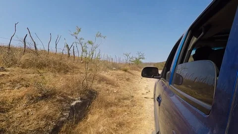 Care View Stock Footage 86362973