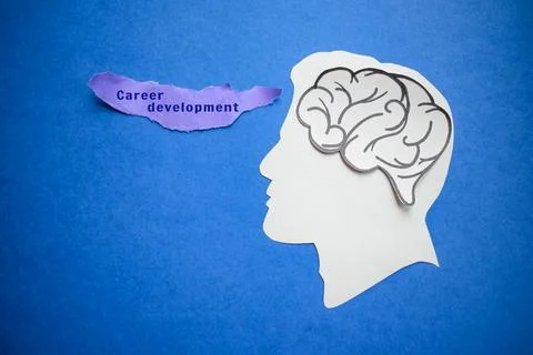Career development concept with human head silhouette and brain illustration Stock Photos