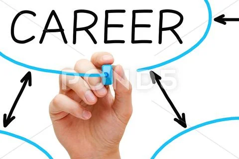 Career flow chart blue marker Stock Illustration
