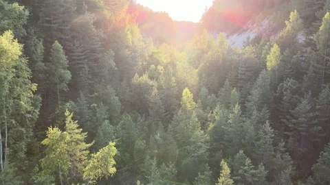 Career Stock Footage 216687083