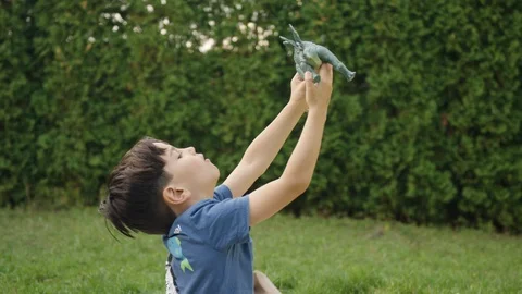 Carefree young boy sitting on blanket in backyard and playing with toy dinosaur Stock Footage