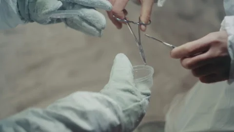 Careful technician moves sample with precision. Highly skilled technician Stock Footage 346474796