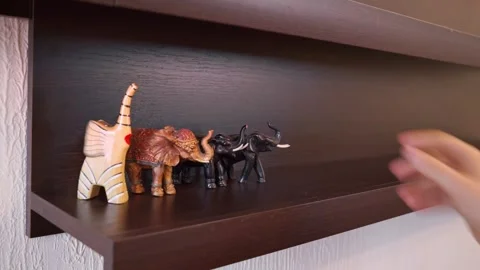 Carefully arranging small elephant figurines by hand on a dark wooden shelf in a Stock Footage 278560883