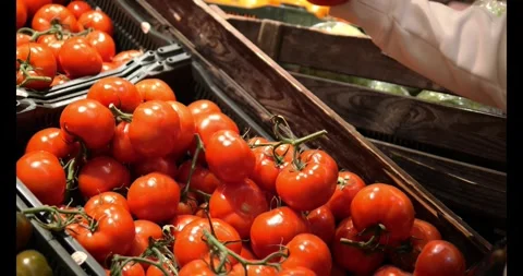 Carefully inspecting each tomato for quality woman navigates produce section of Stock Footage 274100237